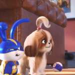 The Secret Life of Pets 2 high quality wallpapers