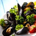 Mussels wallpapers
