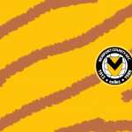 Newport County A.F.C photo