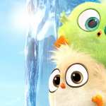 The Angry Birds Movie 2 1080p