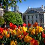 The Hague hd pics
