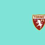 Torino F.C wallpapers