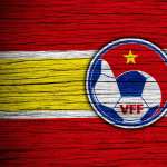 Vietnam National Football Team image