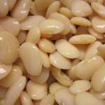 Lima Beans 2022
