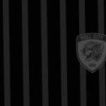 Hull City A.F.C high definition wallpapers
