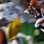 Madden NFL 21 hd