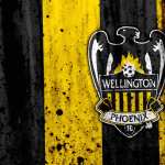 Wellington Phoenix FC background