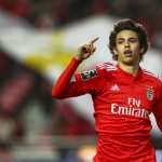 Joao Felix photos