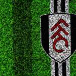 Fulham F.C hd desktop