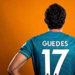 Goncalo Guedes background