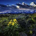 Grand Teton National Park widescreen