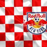 New York Red Bulls images