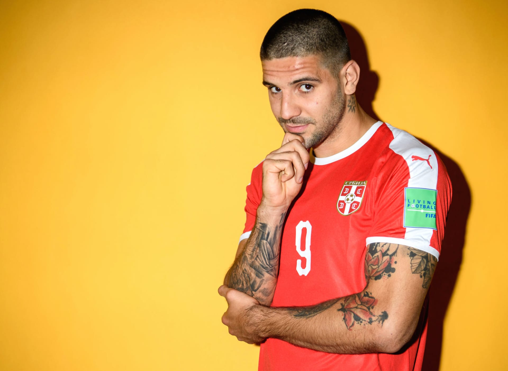 Aleksandar Mitrovic at 1334 x 750 iPhone 7 size wallpapers HD quality