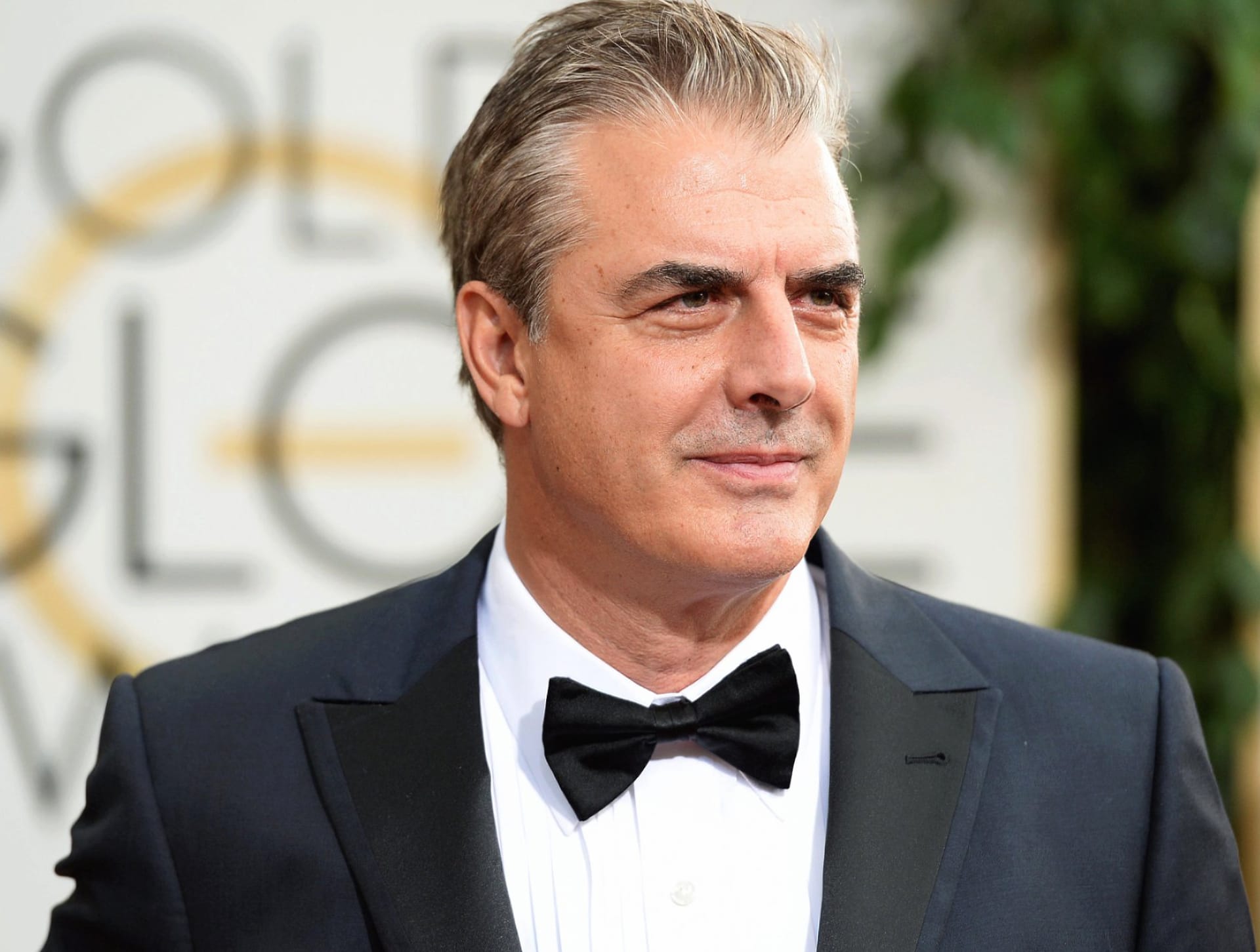Chris Noth at 1024 x 768 size wallpapers HD quality