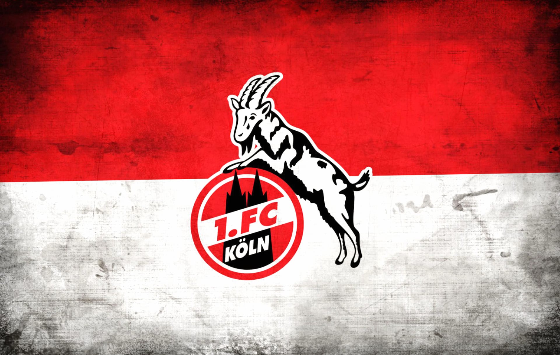FC Koln at 1334 x 750 iPhone 7 size wallpapers HD quality