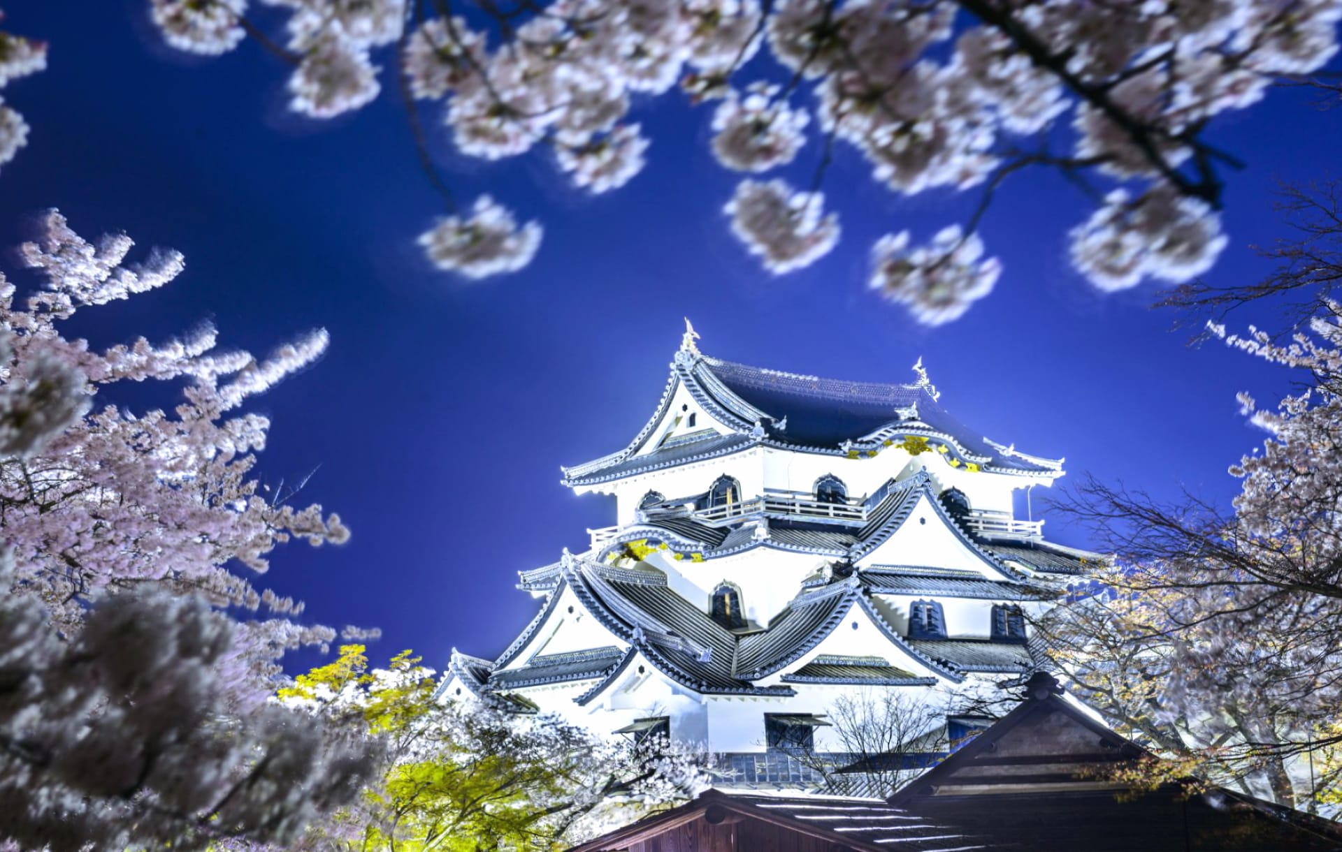 Hikone Castle at 1334 x 750 iPhone 7 size wallpapers HD quality