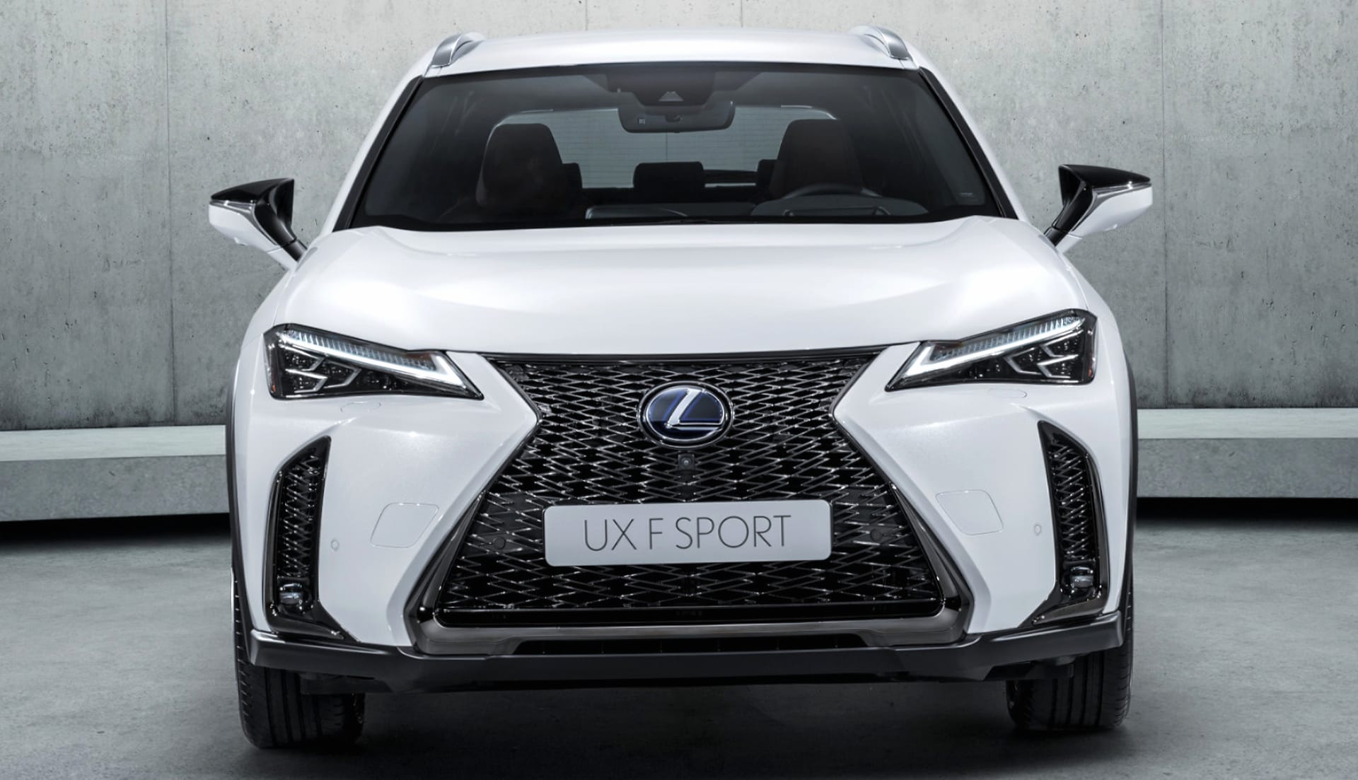 Lexus UX 250 at 2048 x 2048 iPad size wallpapers HD quality