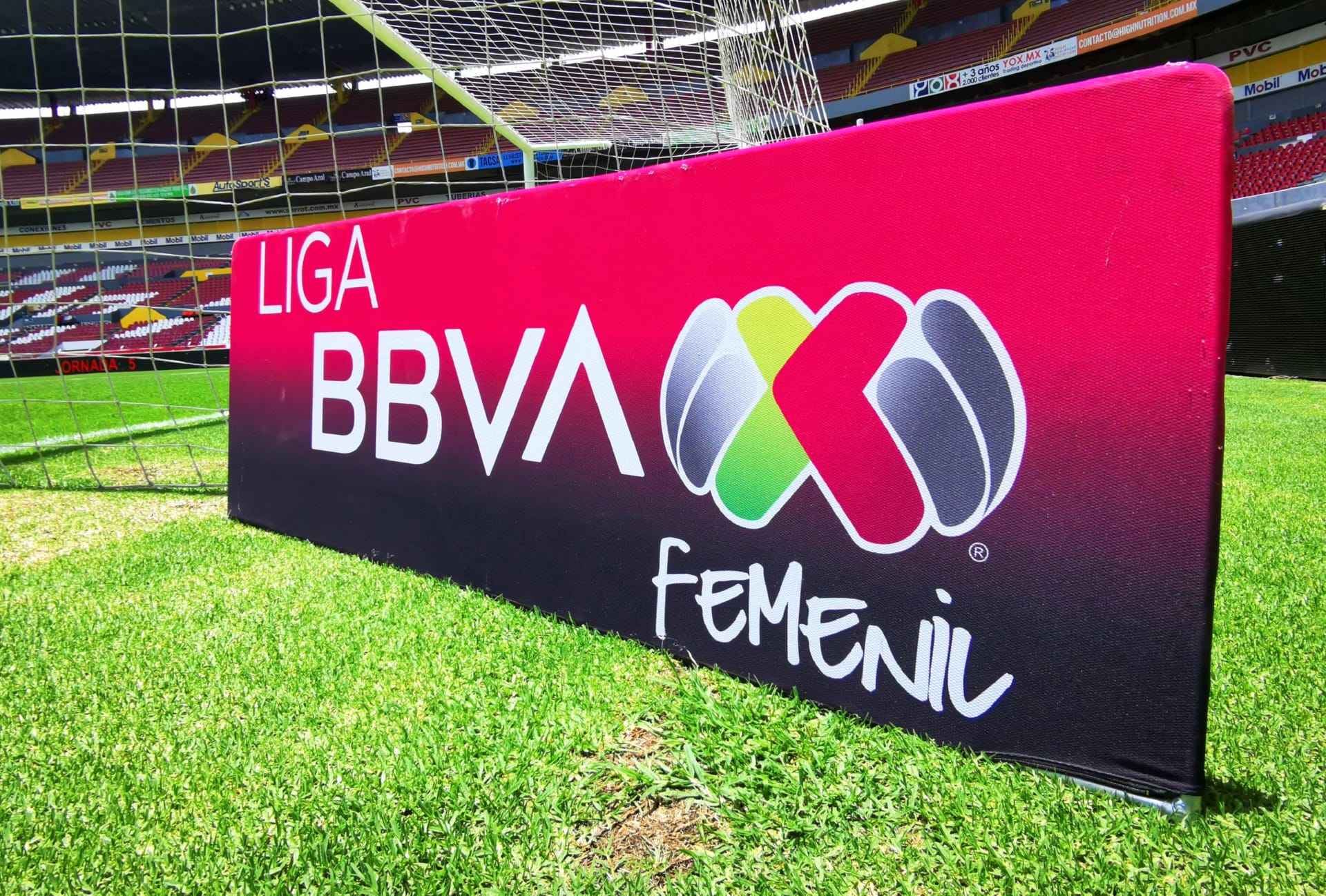 Liga Femenil at 1334 x 750 iPhone 7 size wallpapers HD quality