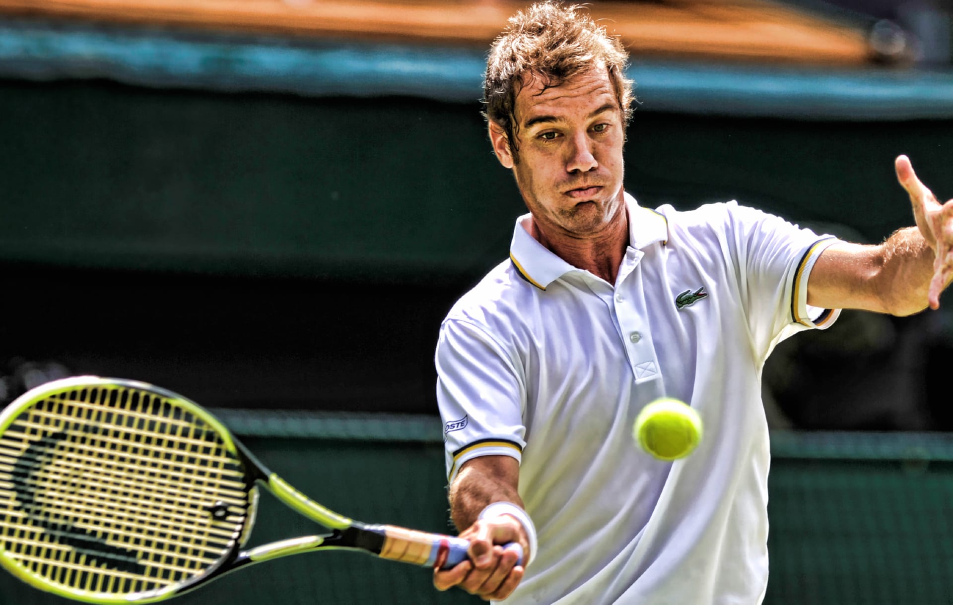 Richard Gasquet at 1024 x 1024 iPad size wallpapers HD quality