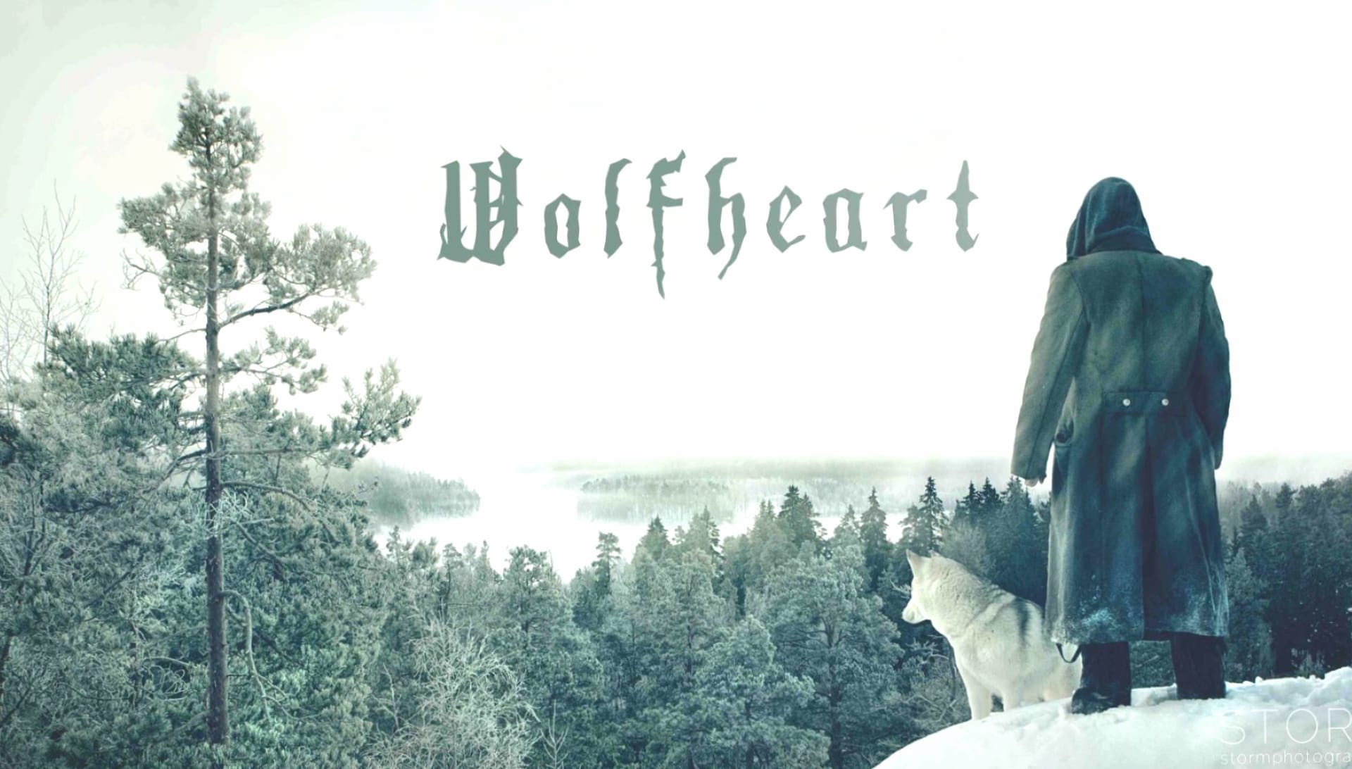 Wolfheart at 1366 x 768 HD size wallpapers HD quality