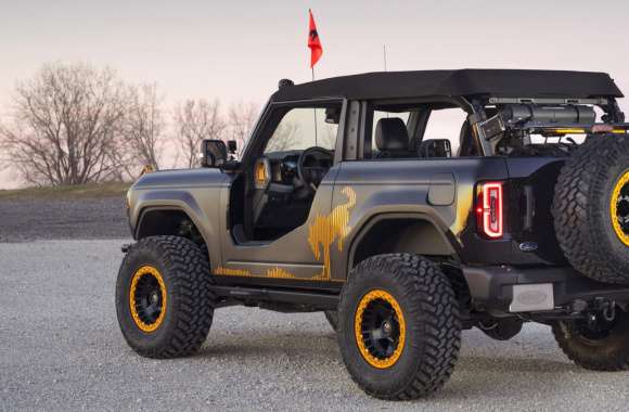 Ford Bronco Badlands Sasquatch