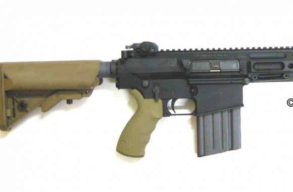 L129A1 Sharpshooter Assault Rifle