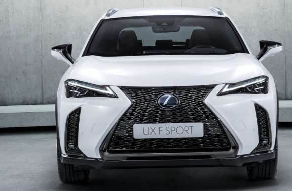 Lexus UX 250 wallpapers hd quality