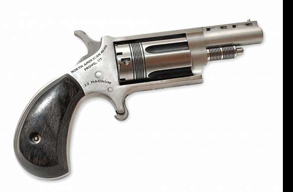 North American Arms Revolver