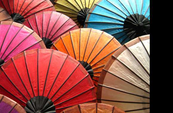 Parasol wallpapers hd quality