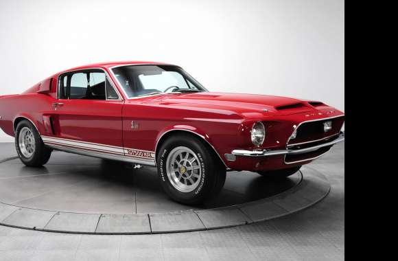 Shelby Cobra GT500 King Of The Road