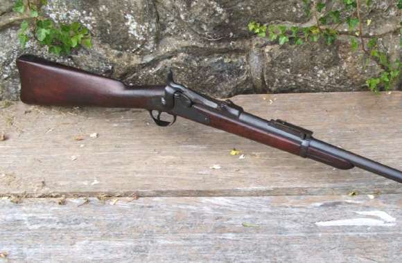 Springfield Trapdoor rifle