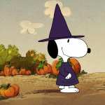 The Snoopy Show hd wallpaper