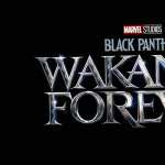 Black Panther Wakanda Forever wallpaper