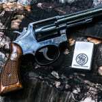 Smith Wesson 38 Special Revolver free