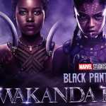 Black Panther Wakanda Forever desktop wallpaper
