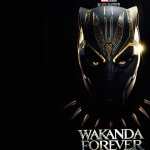 Black Panther Wakanda Forever PC wallpapers