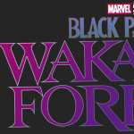 Black Panther Wakanda Forever background