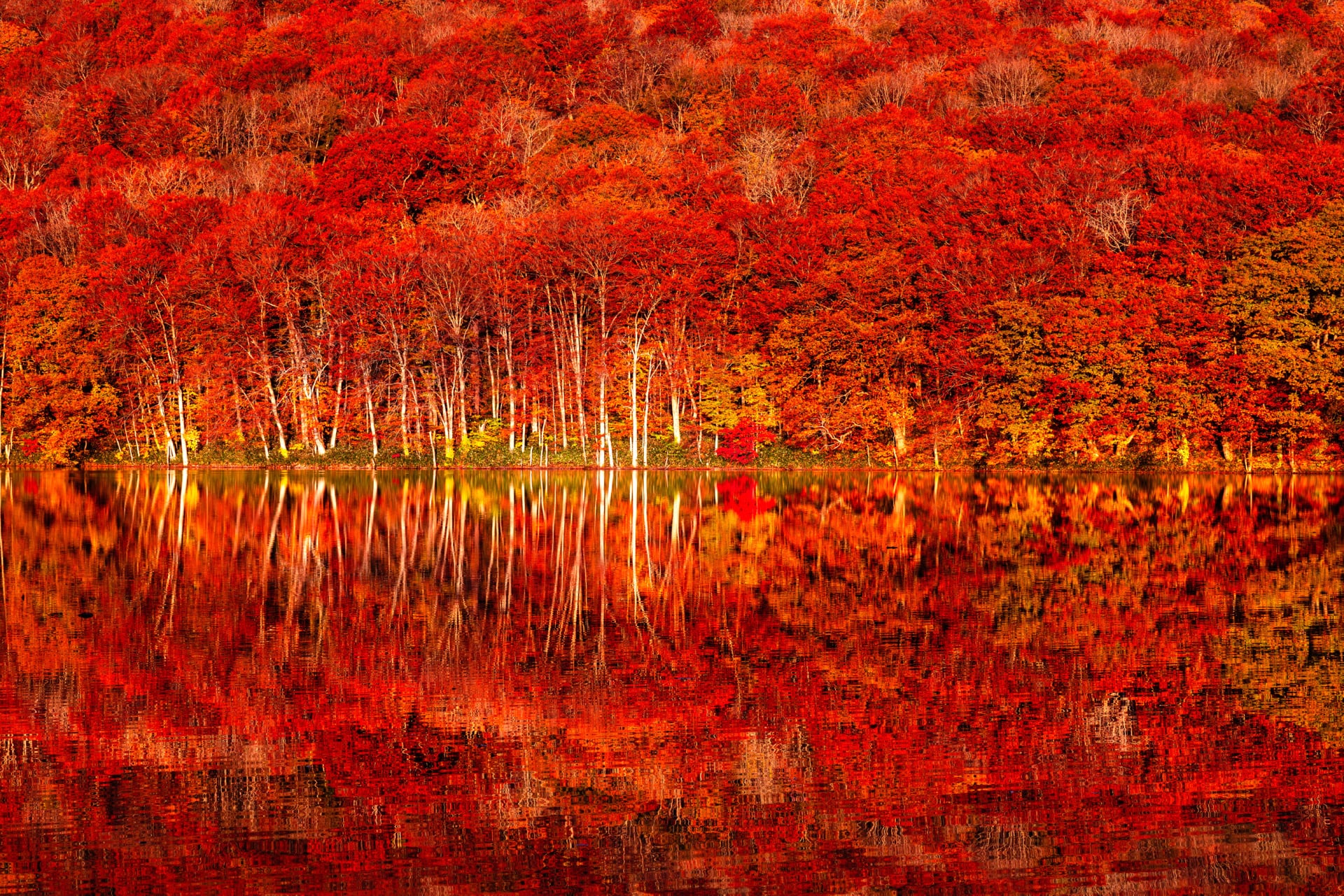 Autumn colors at 640 x 1136 iPhone 5 size wallpapers HD quality