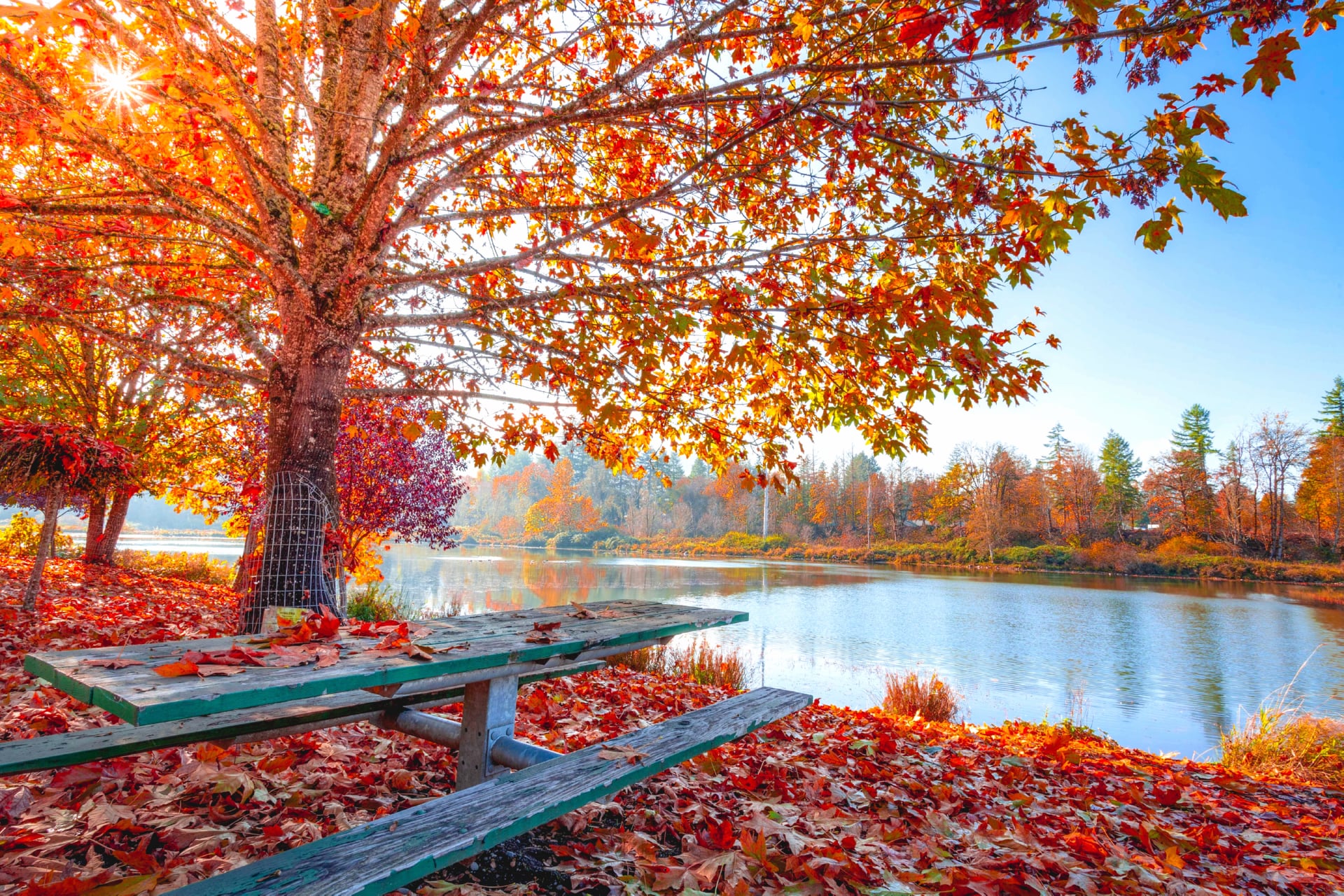 Autumn Fall wallpapers HD quality