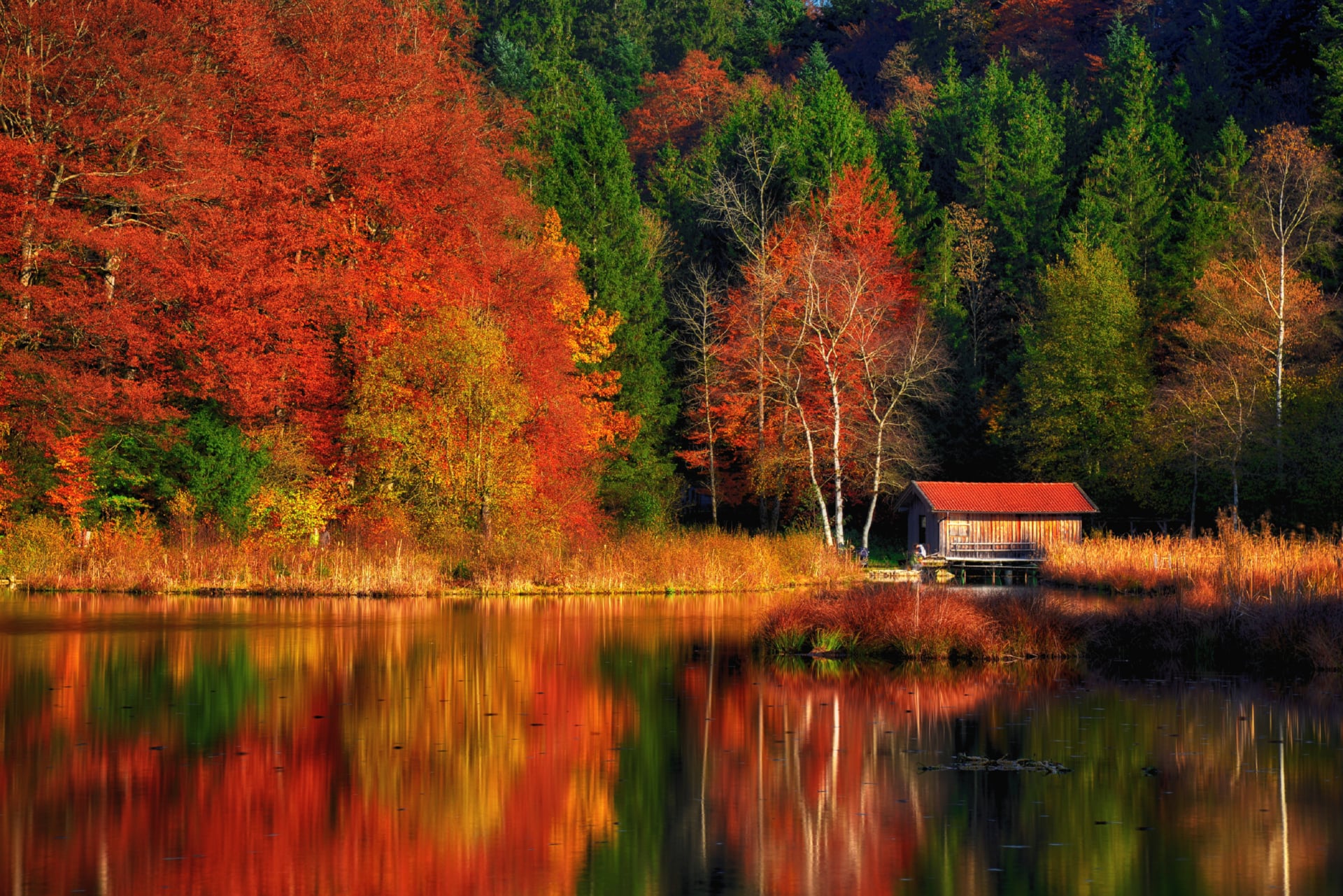 Autumn Scenery at 1024 x 1024 iPad size wallpapers HD quality