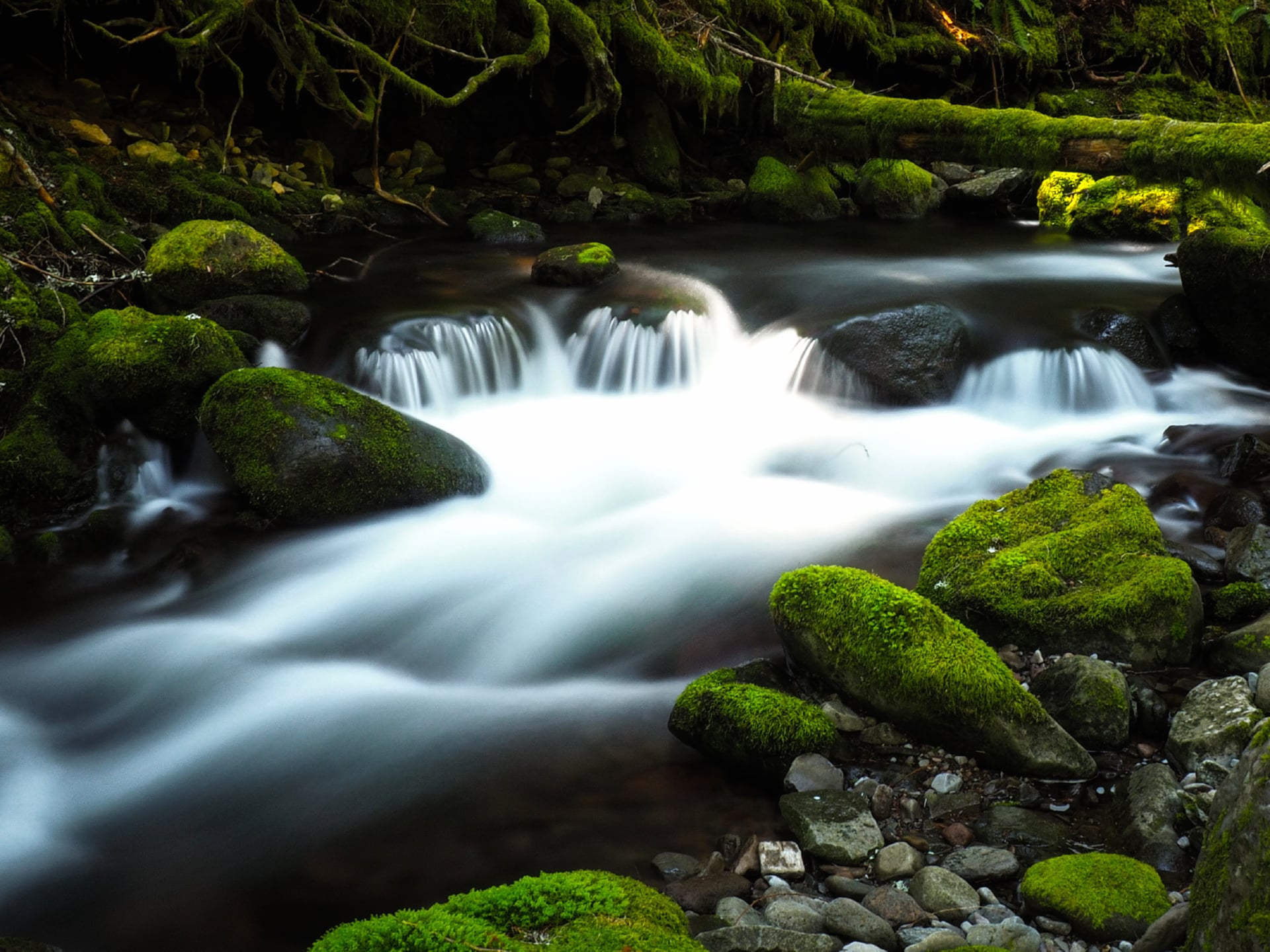 Bear Creek at 640 x 1136 iPhone 5 size wallpapers HD quality