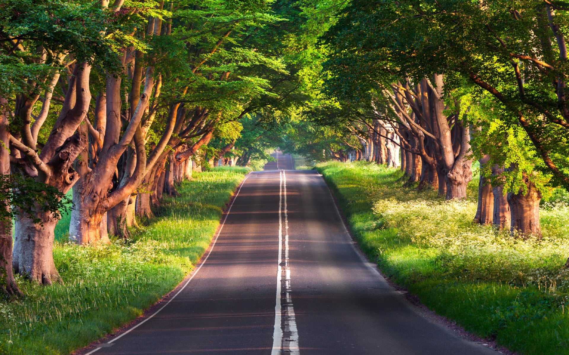 Blandford Road at 640 x 960 iPhone 4 size wallpapers HD quality