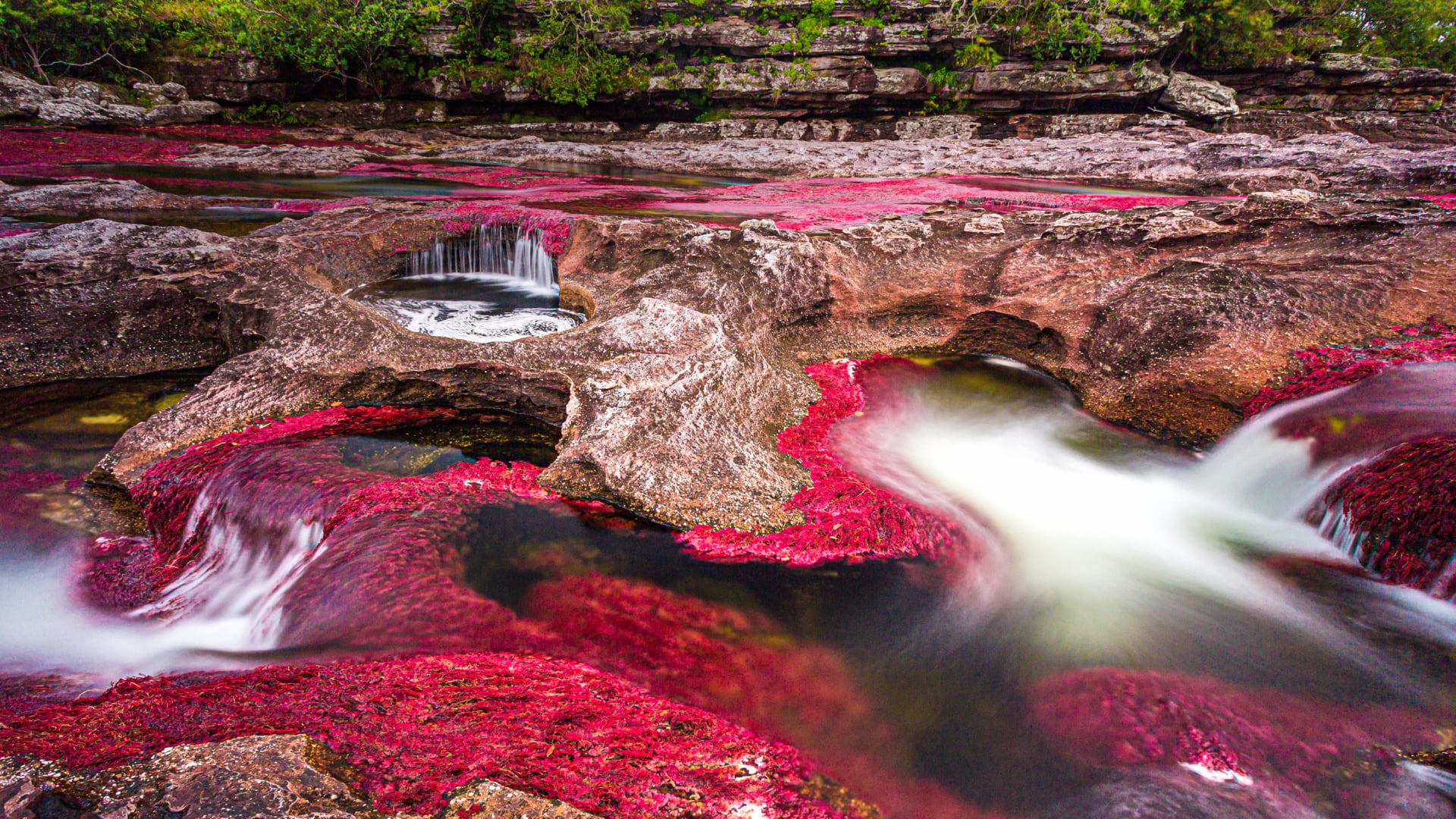 Caño Cristales at 1600 x 1200 size wallpapers HD quality