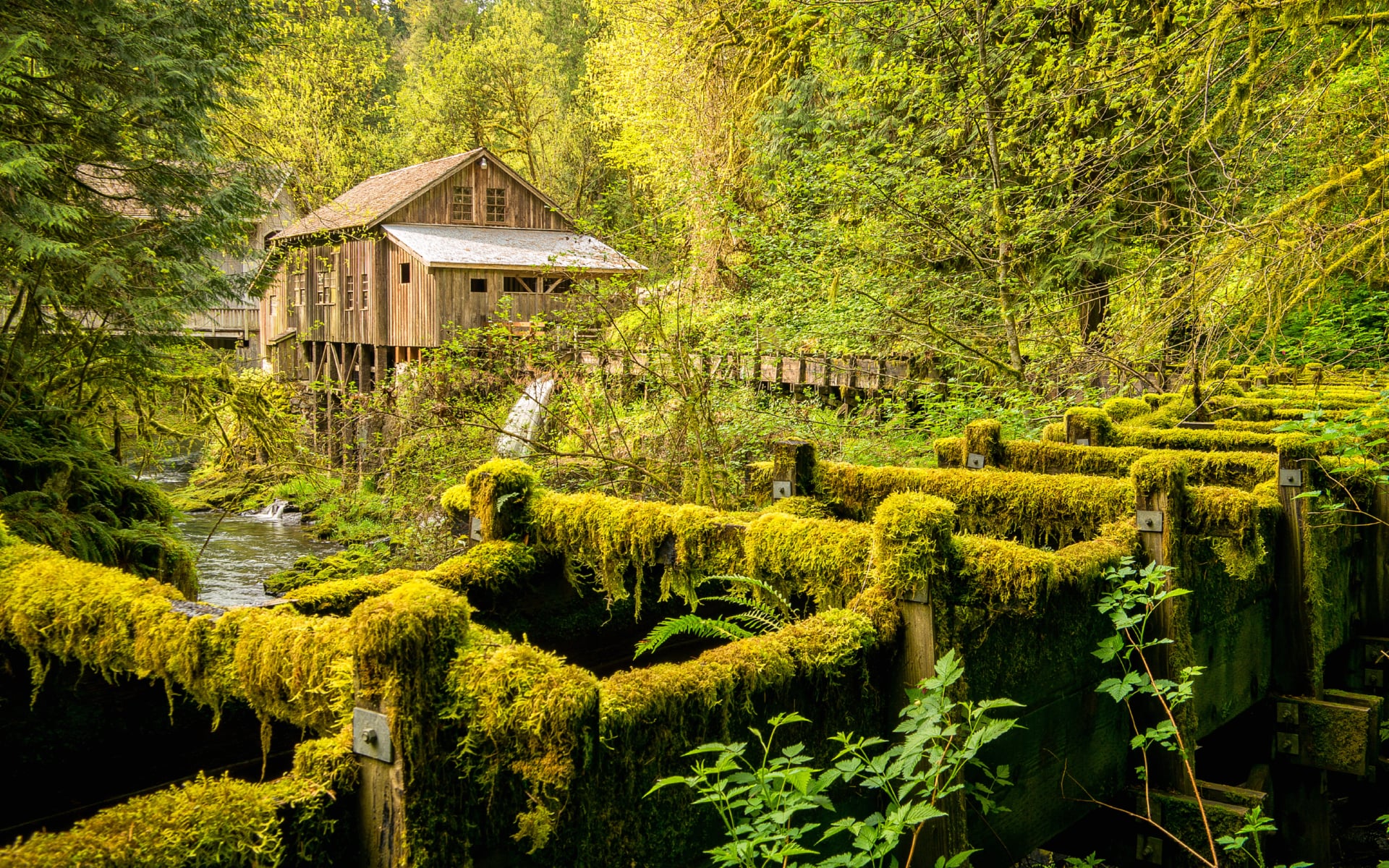 Cedar Creek Grist Mill wallpapers HD quality