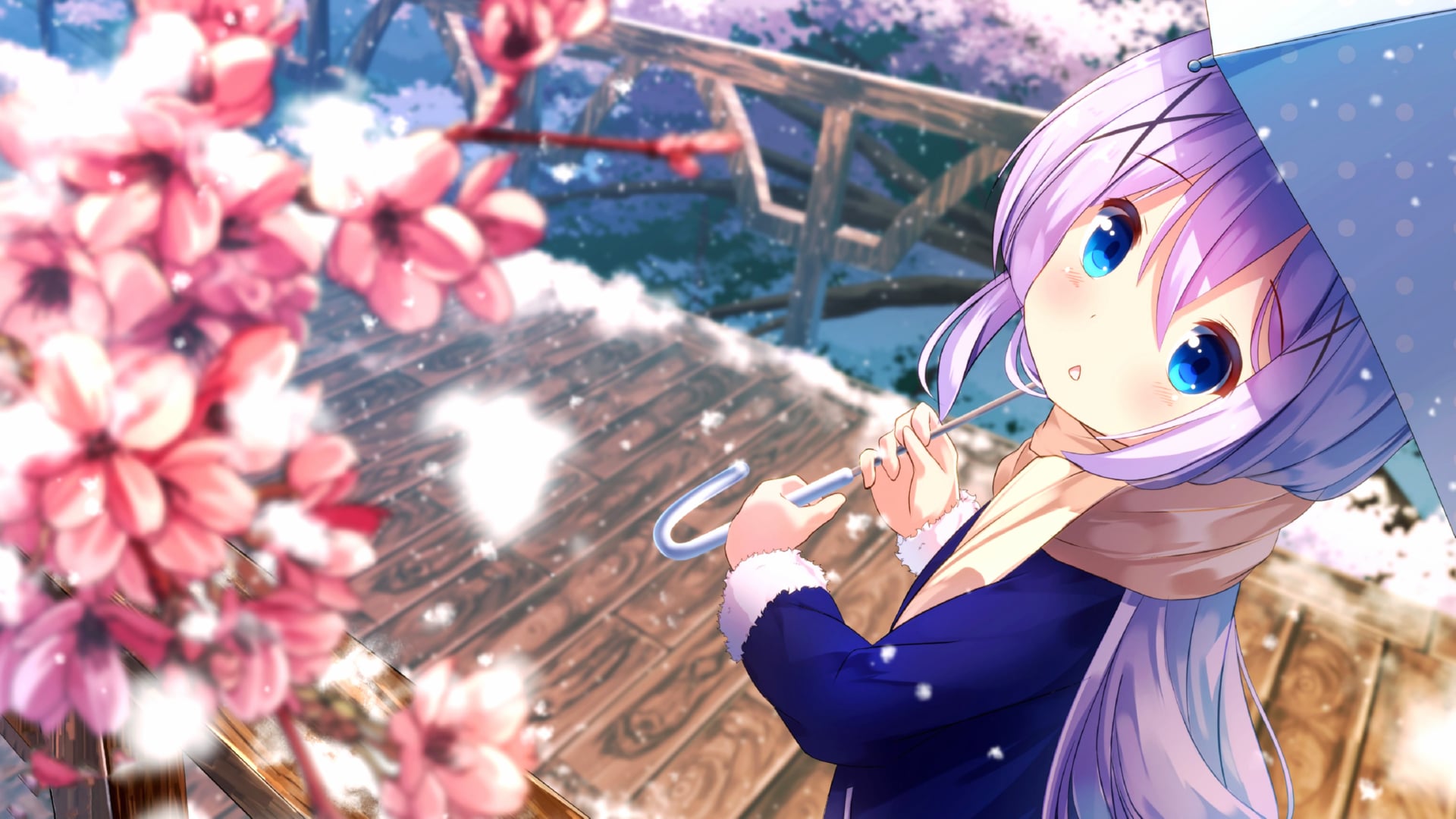 Chino Kafuu at 640 x 1136 iPhone 5 size wallpapers HD quality