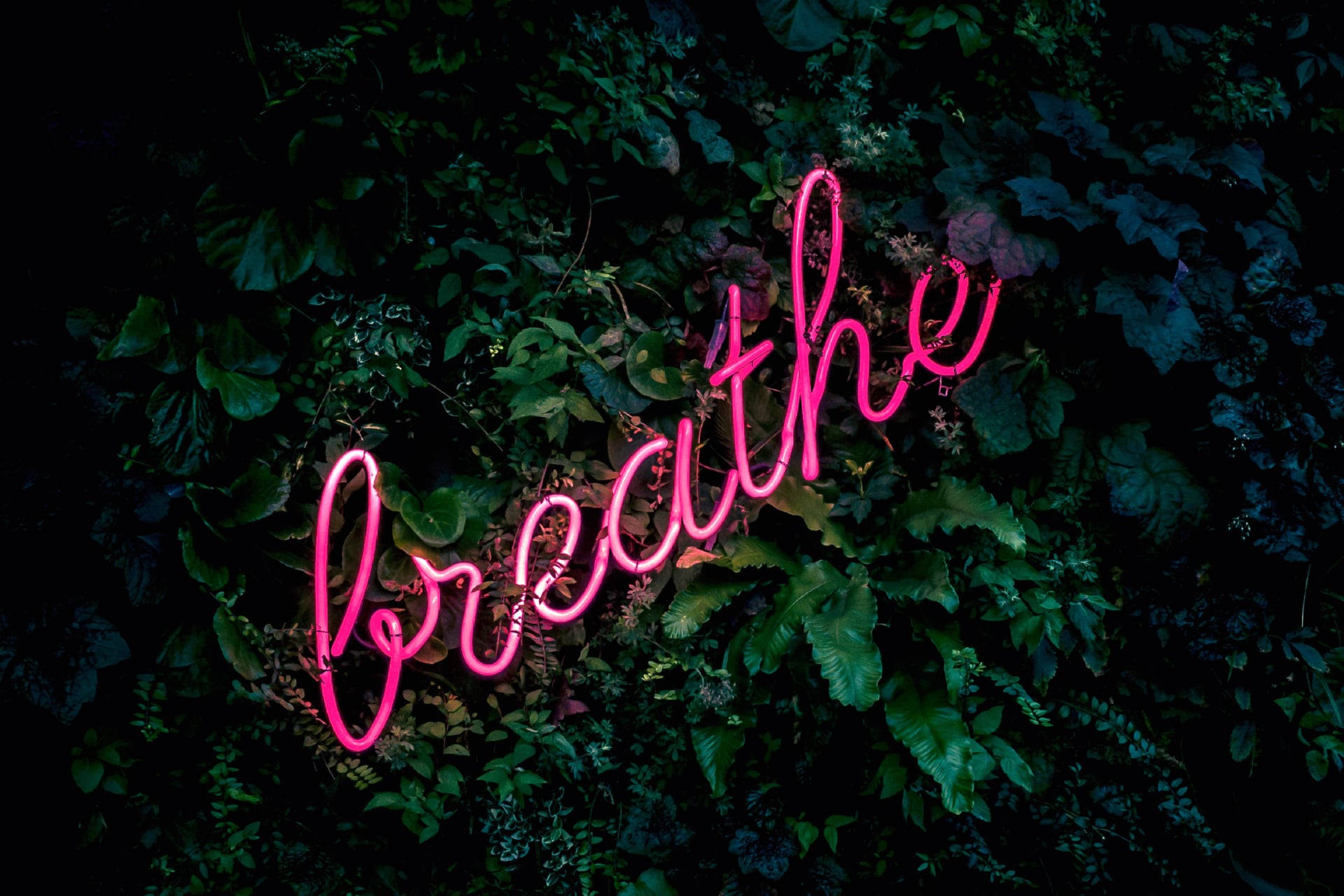 Digital Art Breathe at 1334 x 750 iPhone 7 size wallpapers HD quality