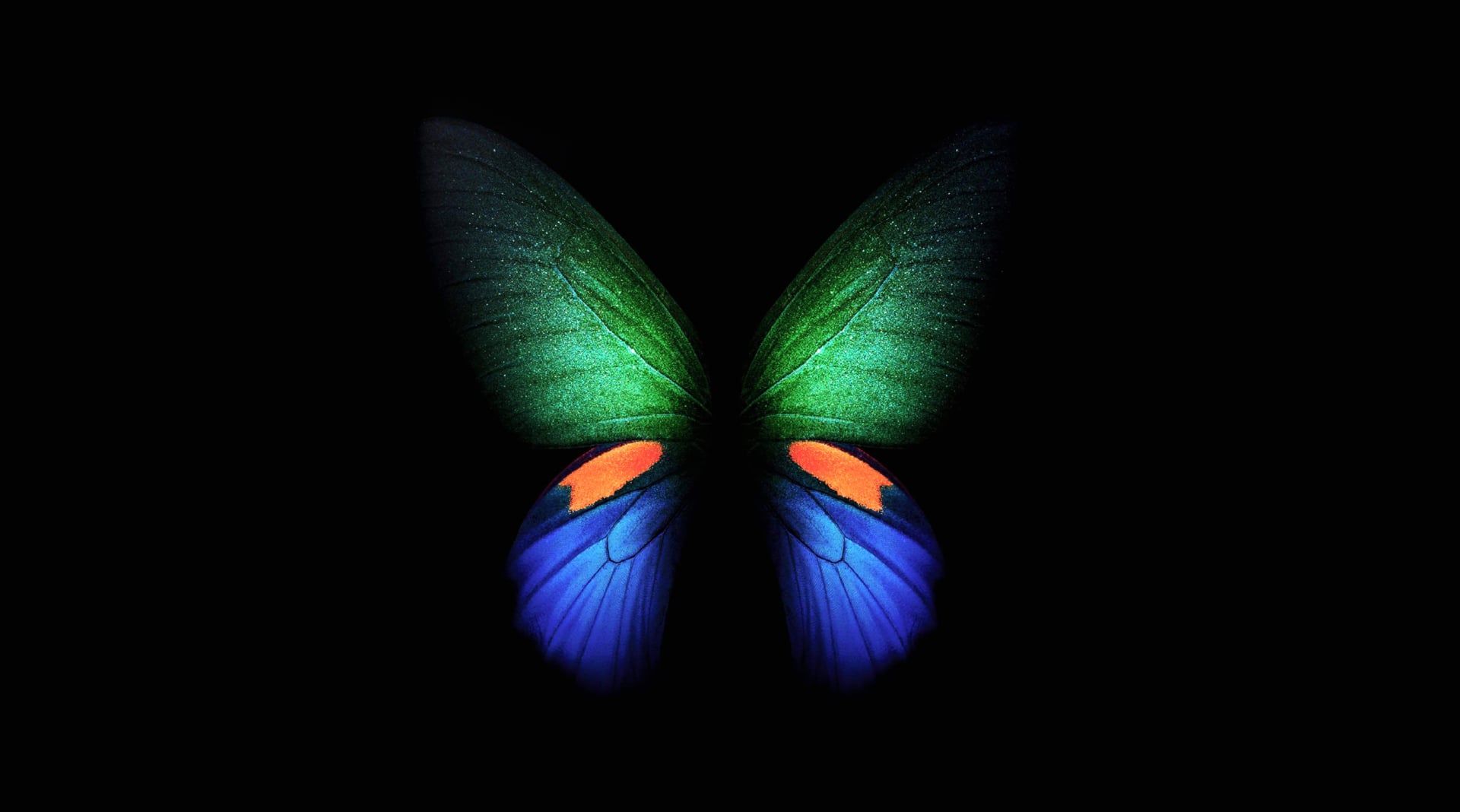 Digital Art Butterfly at 1600 x 1200 size wallpapers HD quality