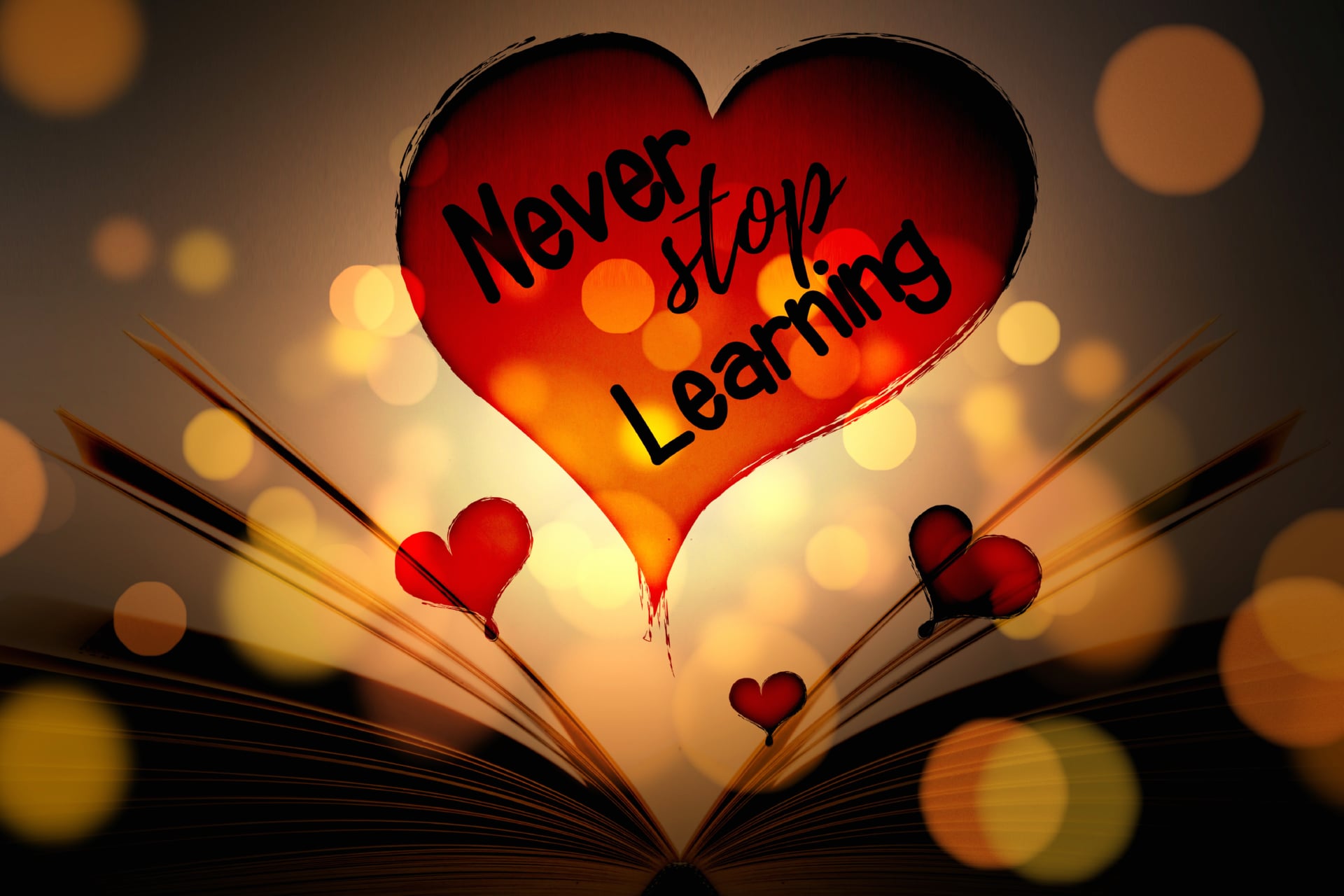Digital Art Never Stop Learning wallpapers HD quality