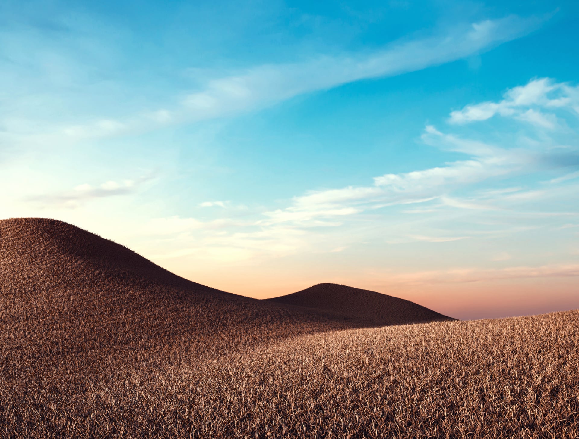 Dry fields wallpapers HD quality