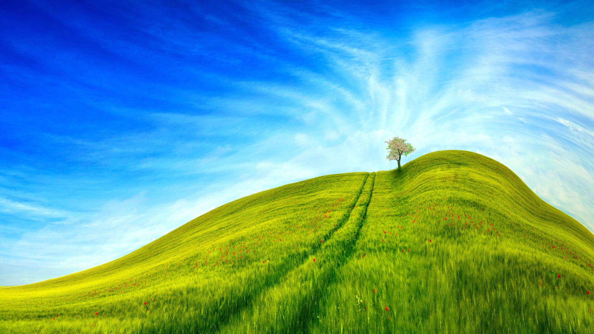 Grass Landscape at 1600 x 1200 size wallpapers HD quality